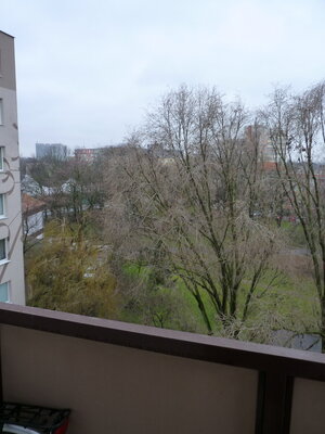 Prenájom, 3 izbový byt, Nové Zámky — foto 14