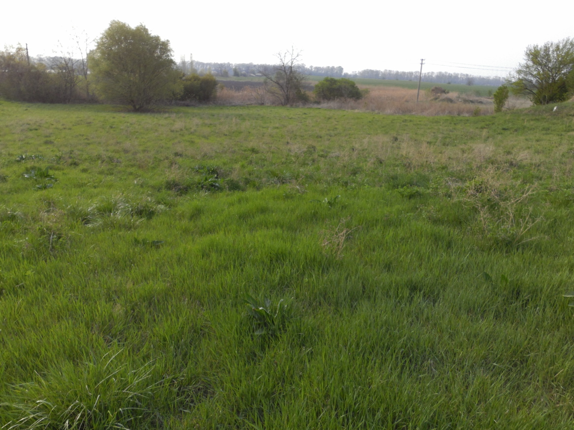 Predaj, stavebný pozemok, komerčný, Hurbanovo
